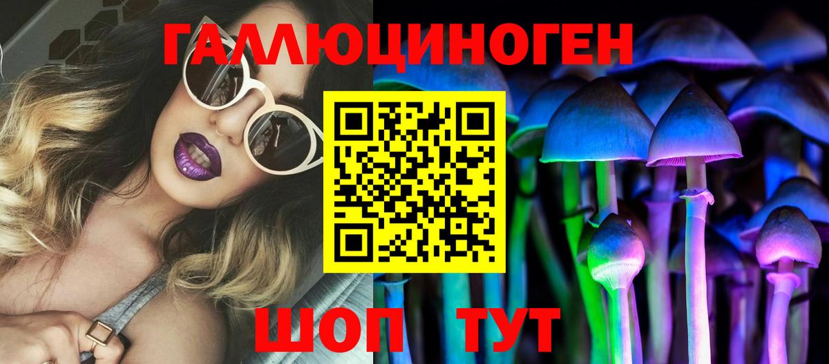 Видное  Галлюциногенные грибы Psilocybe  Вход с VPN 